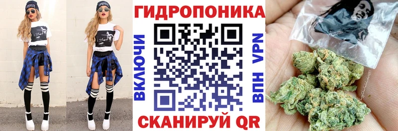 НБОМе Краснообск